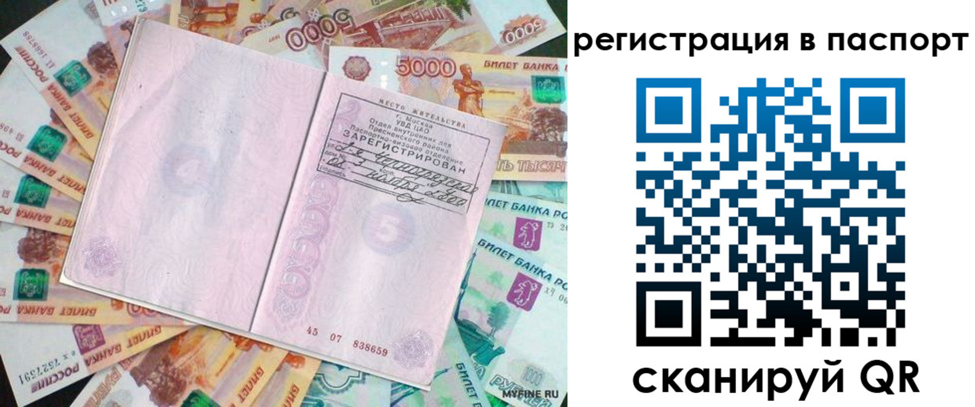 найти адрес прописки в Московской области